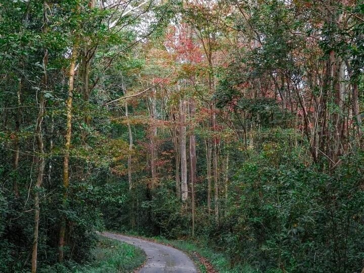 ¿Qué parque nacional ha sido reconocido dos veces como patrimonio natural mundial? - 6