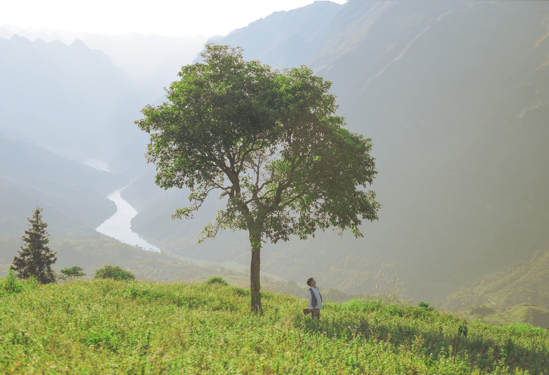 Thảo nguyên đẹp lạ ở Hà Giang, khách chơi ‘thả ga’ chưa hết 2 triệu đồng