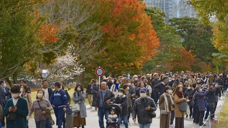 The season of yellow and red leaves sets a new record for late arrival.