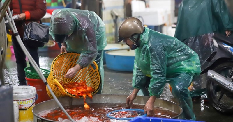 El mercado de Yen So, que abastece 20 toneladas de pescado, está repleto de compradores y vendedores cerca de las vacaciones de Ong Cong Ong Tao