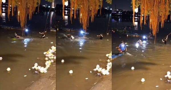 Verificando clip de pelea que se sospecha se debe a conflicto al liberar peces