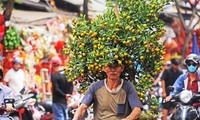 年末のテトを家に持ち帰るのに忙しい