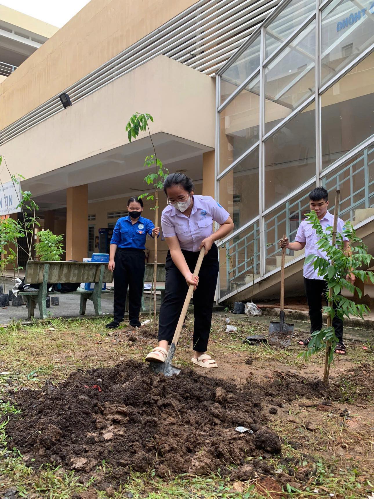 Trường đại học thử thách sinh viên 7 ngày sống xanh- Ảnh 4.