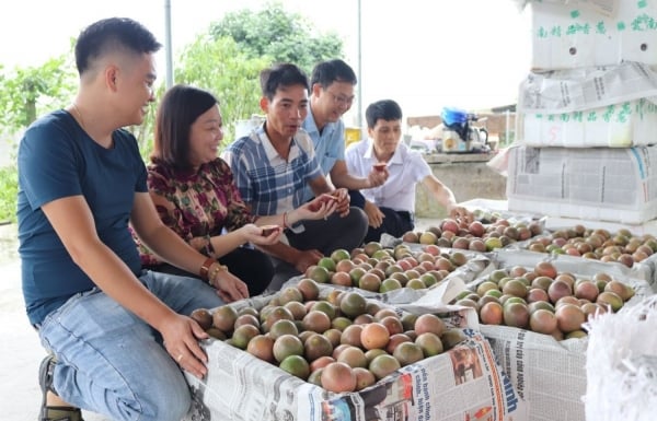 Để hàng Việt ‘bám rễ’ thị trường Hoa Kỳ