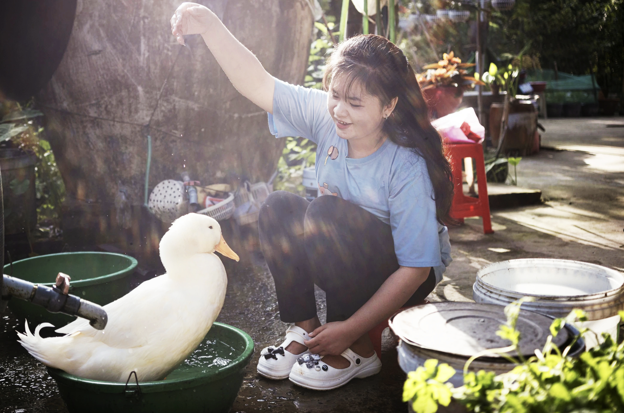 The poor girl and the duck suddenly became famous throughout Asia