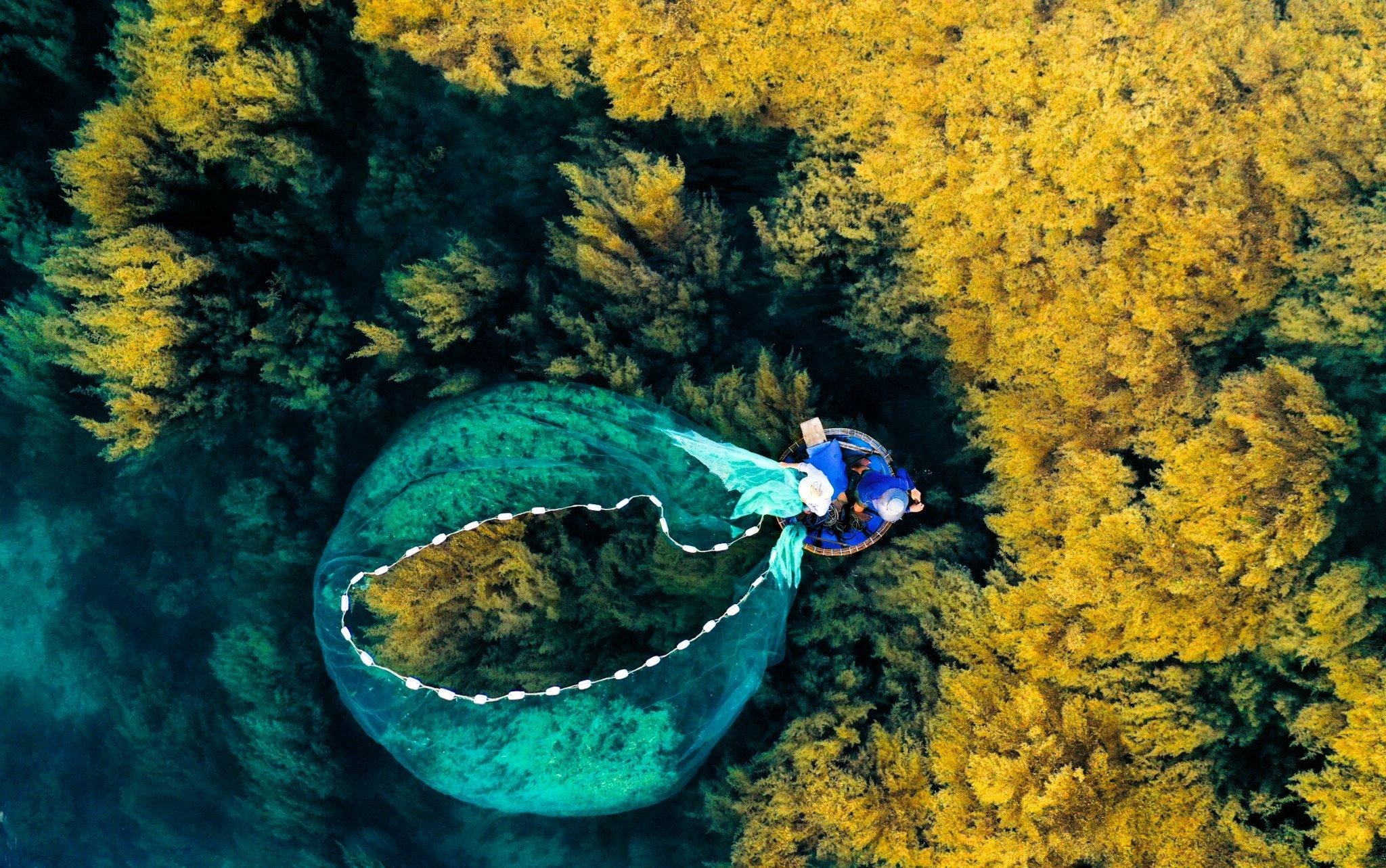 Nahaufnahme der Algenausbeutung in Ninh Thuan