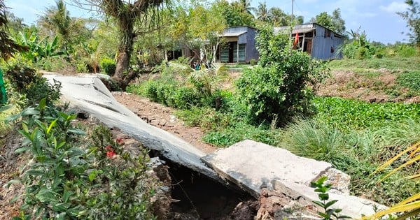 Hundreds of landslides and subsidence locations due to drought in Ca Mau