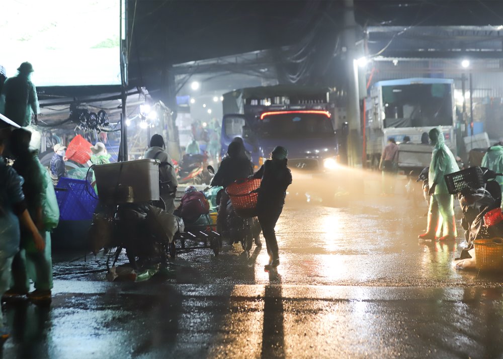 ハノイ近郊のいくつかの県の卸売業者によると、今年は金魚の養殖量が多いため、現在の価格は例年ほど高くないという。写真: プー寺院