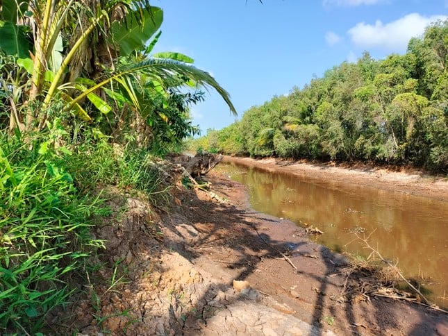 Hundreds of landslides and subsidence locations due to drought in Ca Mau photo 8