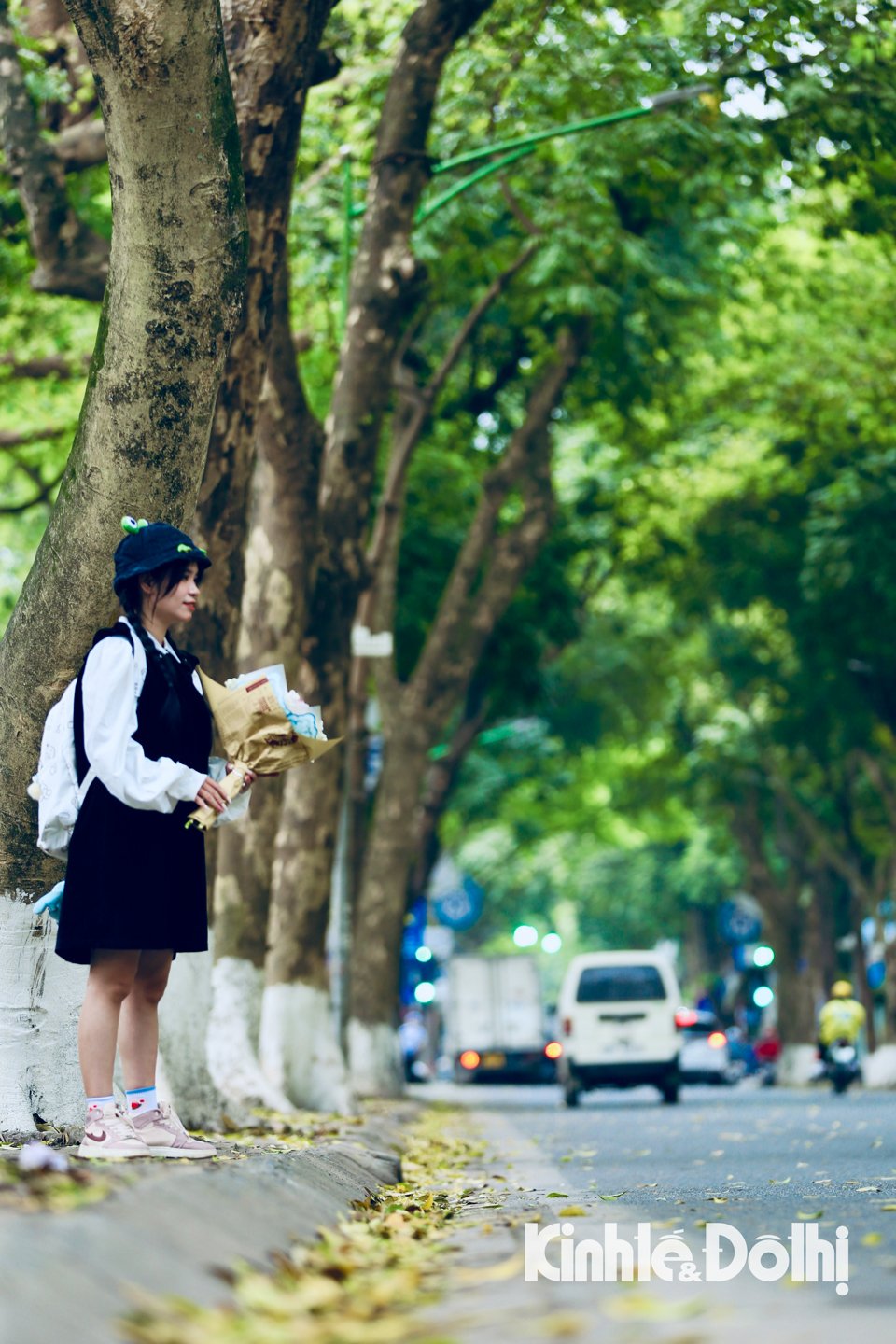 Hanoi: Bewundern Sie die traumhafte Schönheit der Jahreszeit, wenn die Tamarindenbäume in der Phan Dinh Phung Straße ihr Laub wechseln – Foto 4