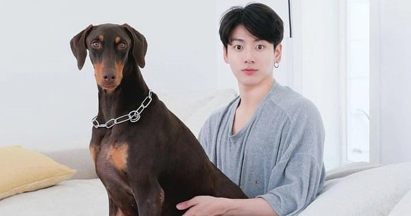 Recién publicado en las redes sociales, el perro mascota de Jungkook ya tiene millones de seguidores