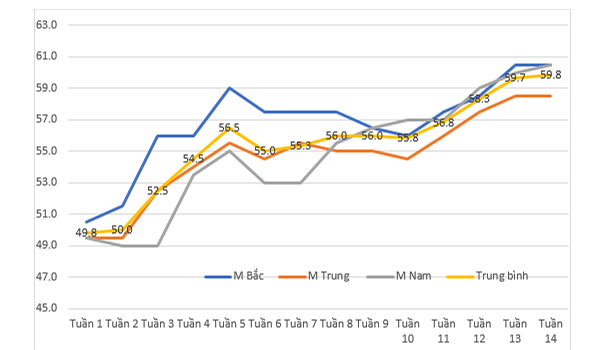 Giá heo hơi hôm nay ngày 14/4/2024: Cao nhất 62.000 đồng/kg