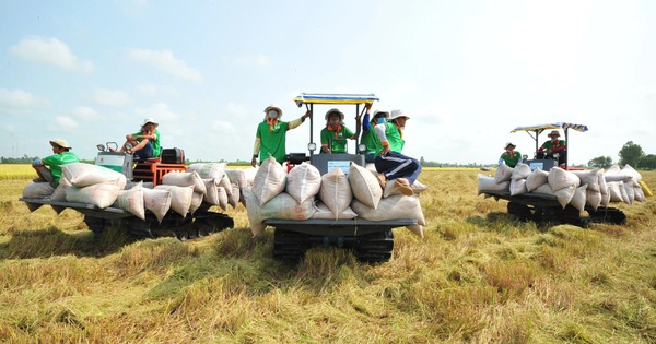 Hết mù mờ thông tin, nông sản tăng cơ hội xuất khẩu vào EU