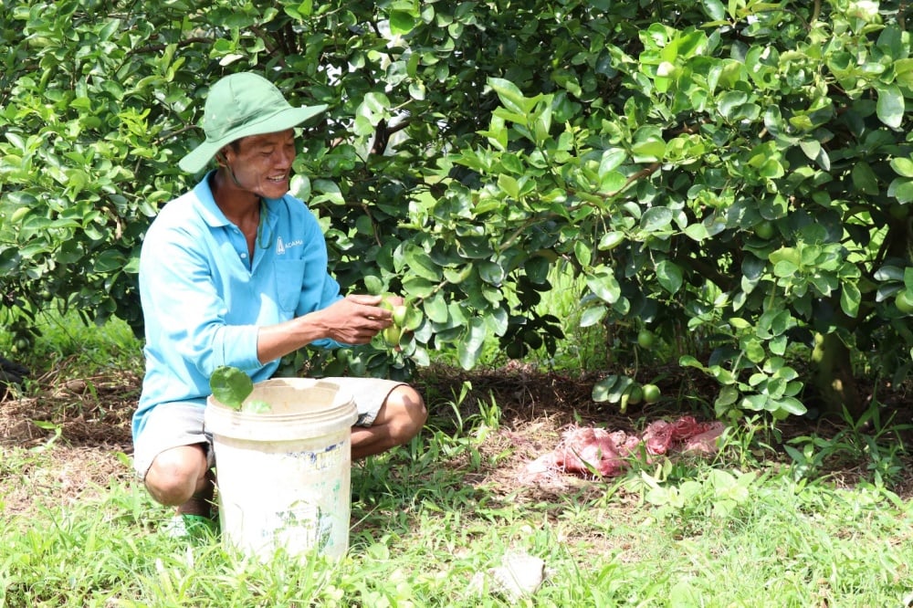 Tín dụng chính sách (Bài 2)