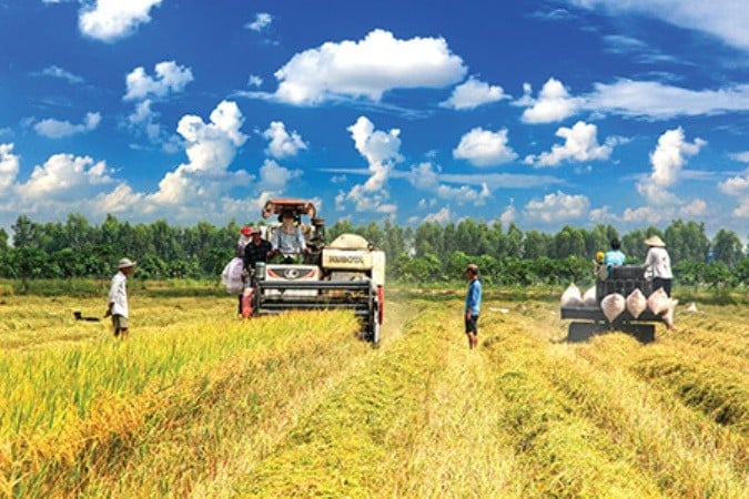 Les exportations de riz en 9 mois ont rapporté près de 3,54 milliards USD