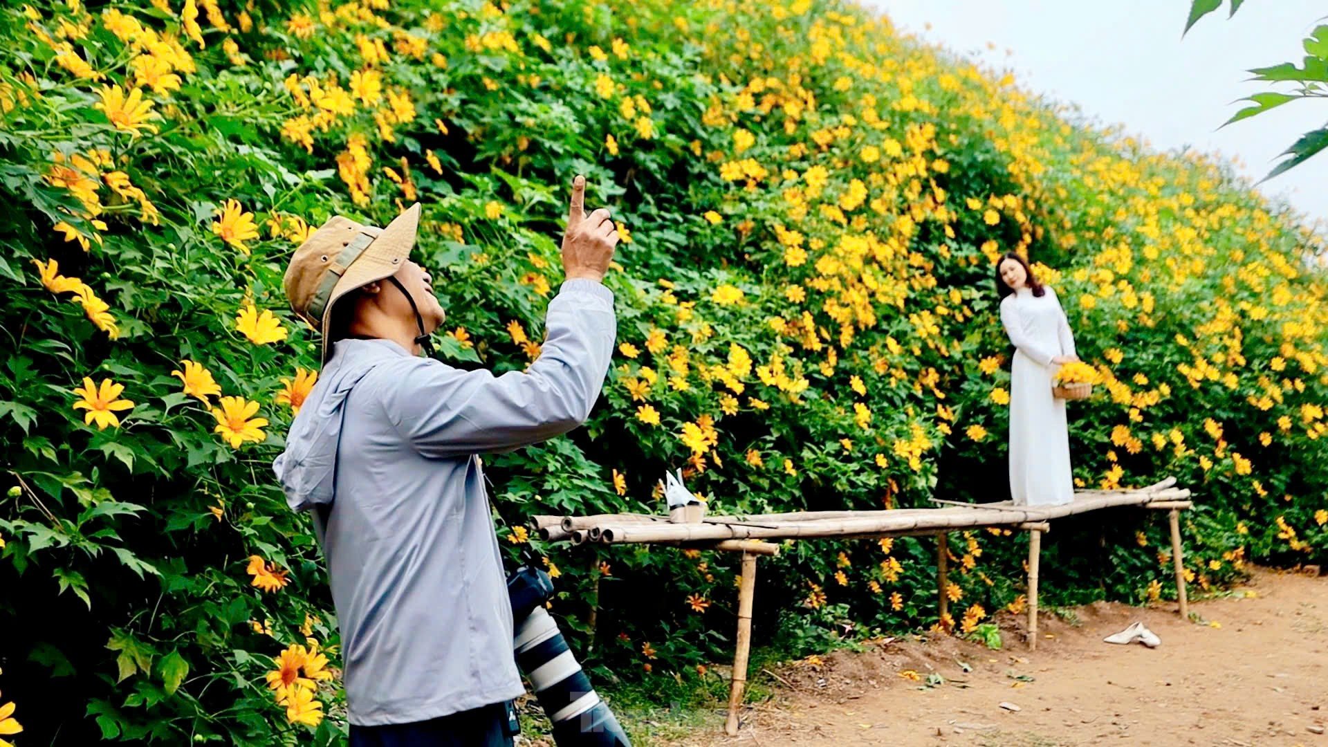 Chiêm ngưỡng vẻ đẹp hoa tam giác mạch, dã quỳ vàng nở rộ giữa lòng Thủ đô ảnh 7