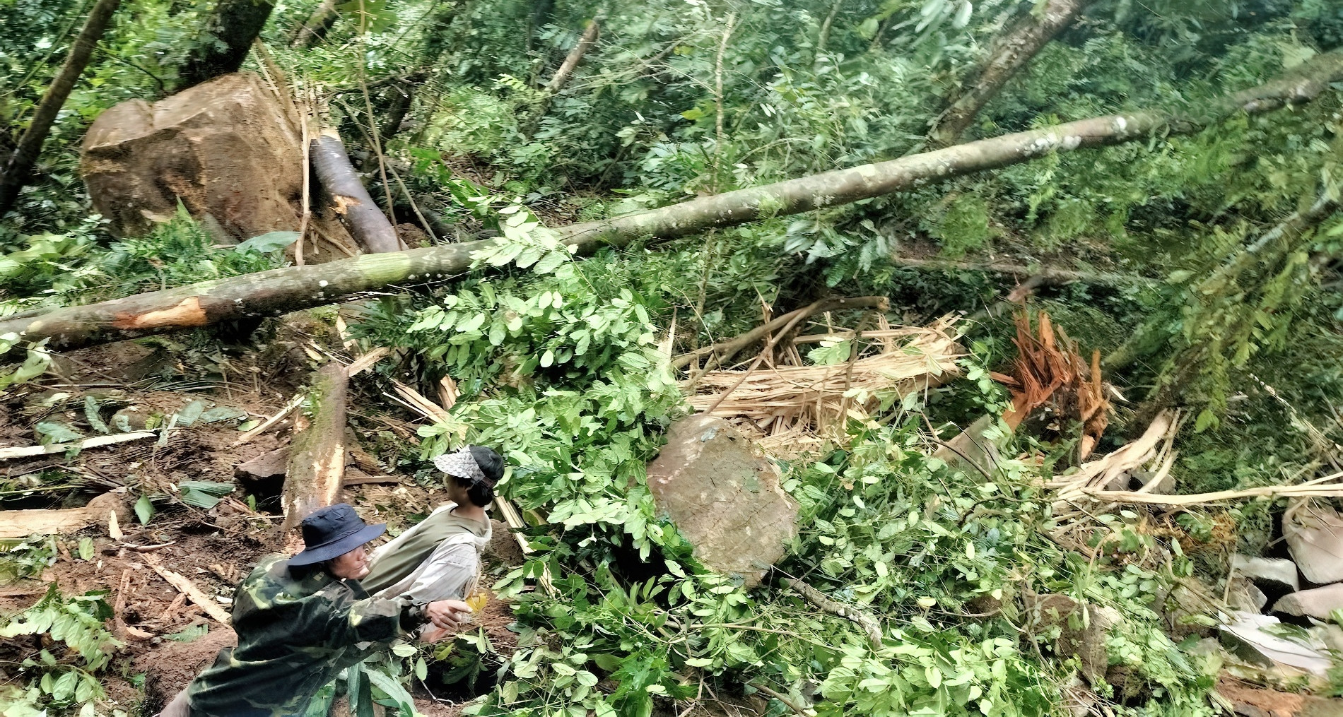 Quang Nam declara emergencia en aldea con muchas rocas rodando debido al terremoto