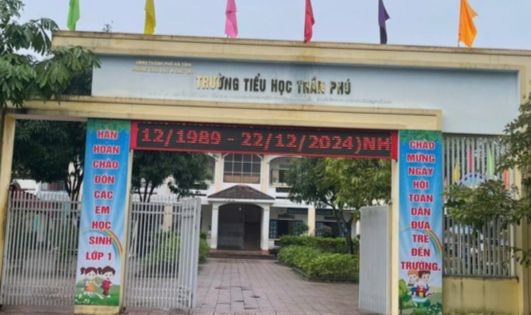 Dạy thêm tại nhà cho học sinh lớp 1, cô giáo bị kỷ luật