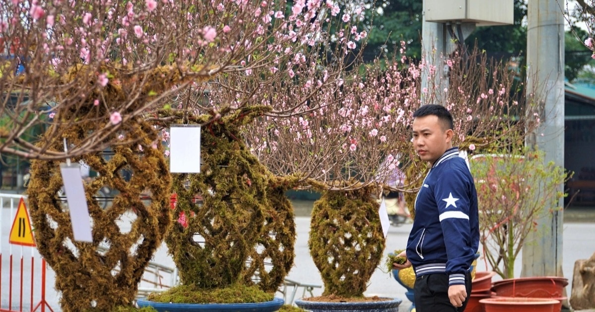 2024年の旧正月に向けて、約1000万ドンのユニークな桃の花の花瓶が発売される