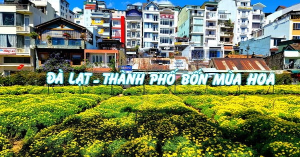 Festival hoa Đà Lạt năm nay sẽ có nhiều điểm mới