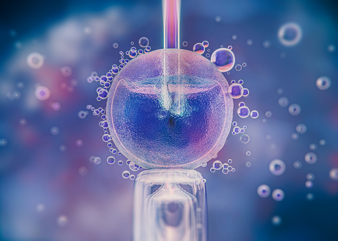 Illustration du processus de fécondation in vitro. Photo : Freepik