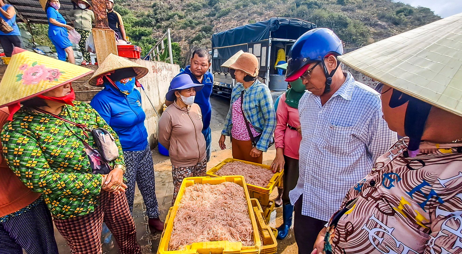 Ngư dân Bình Định trúng đậm lộc biển, thu 225 tấn ruốc, cá cơm sau 3 ngày ảnh 4