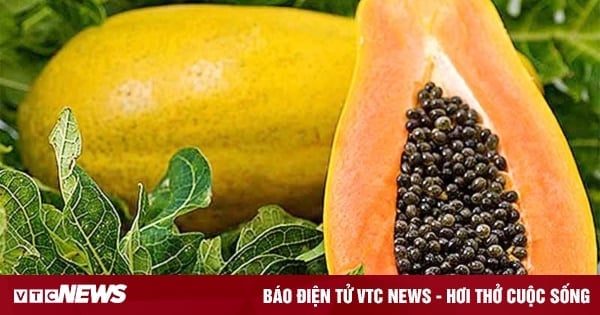 Cancer prevention effects of papaya fruit and leaves