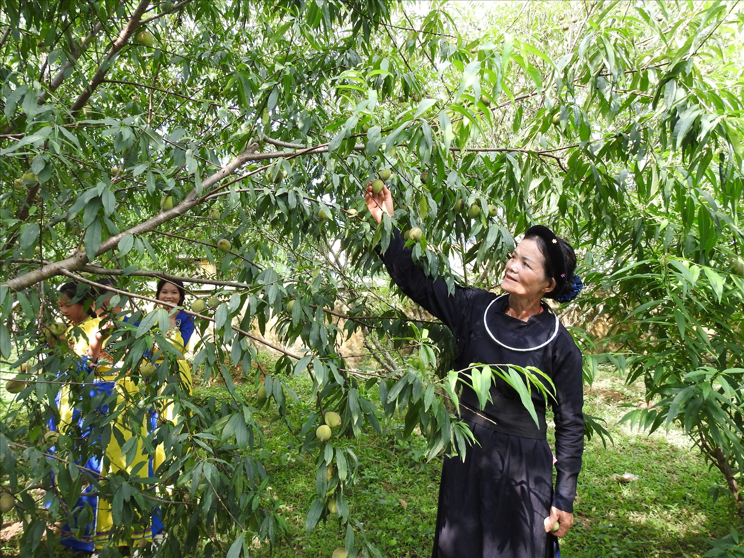 Nhờ triển khai tốt các nội dung của Dự án 8, Chương trình MTQG 1719 đã từng bước thay đổi nếp nghĩ, cách làm, nâng cao quyền năng kinh tế cho phụ nữ