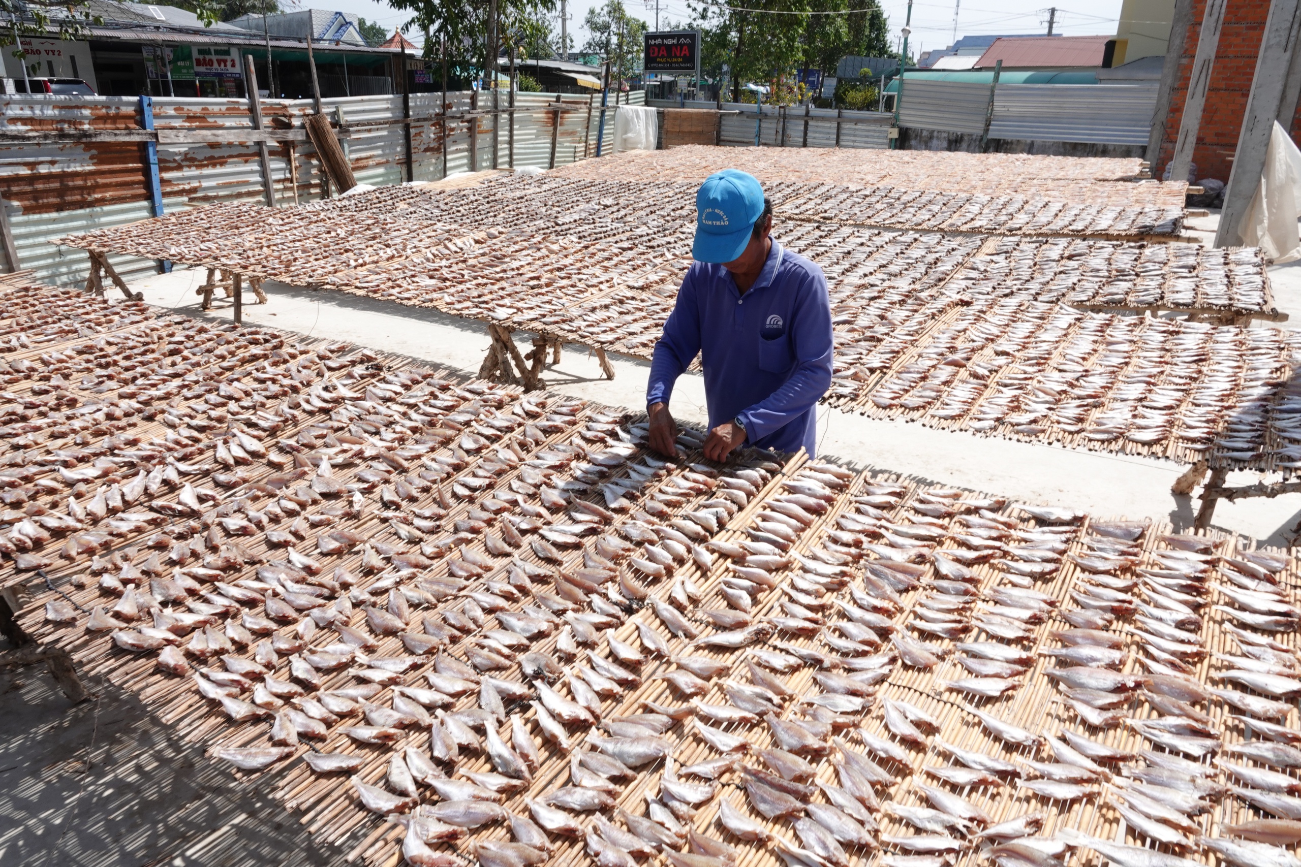 Ghé làng khô cá biển Sóc Trăng, choáng ngợp trước 50 loại khô- Ảnh 2.