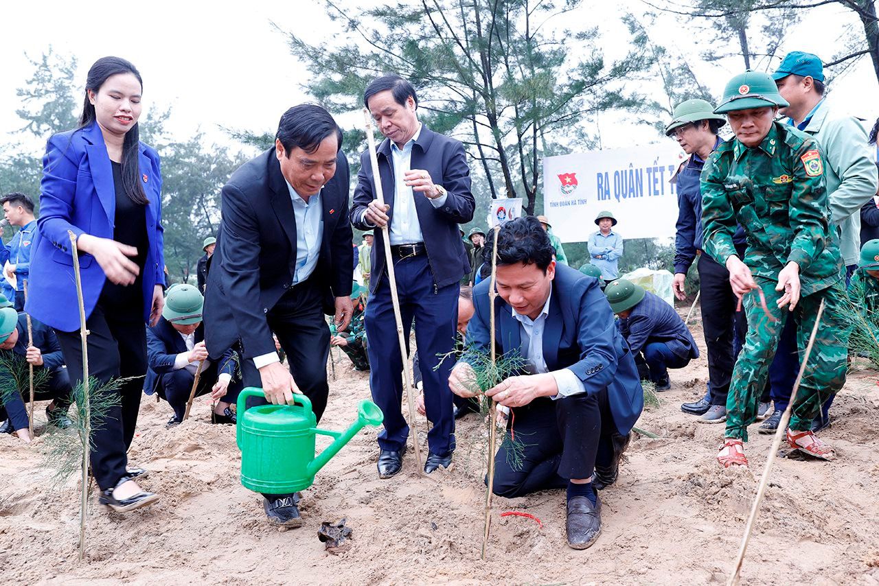 Trồng 120.000 cây phi lao chắn sóng tại bãi biển Thiên Cầm