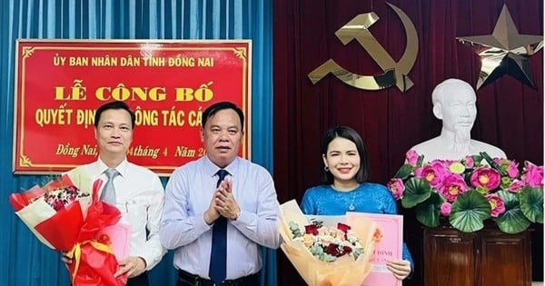 Điều động, bổ nhiệm nhân sự chủ chốt ở 3 tỉnh, thành phía Nam