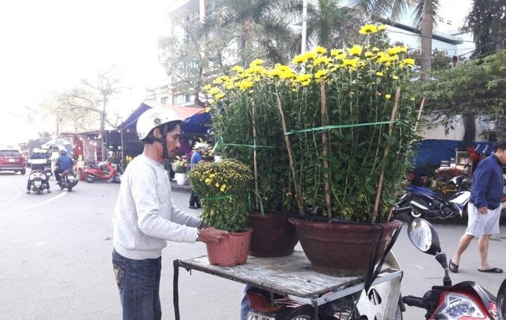 يعد نقل زهور تيت بالدراجة النارية مهنة يختارها العديد من الأشخاص. (الصورة: شوان تيان)