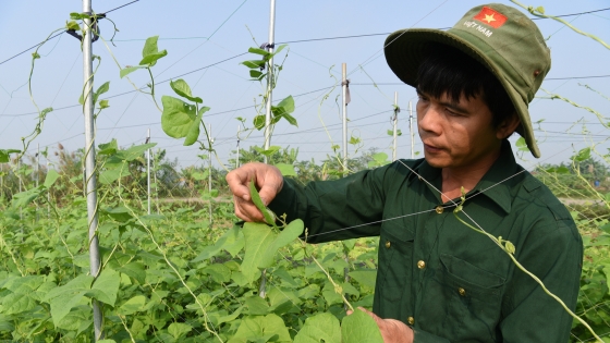 Quatre scientifiques ont quitté leur emploi au gouvernement pour se lancer dans l'agriculture, dans le cadre d'une « révolution à un seul brin de paille »