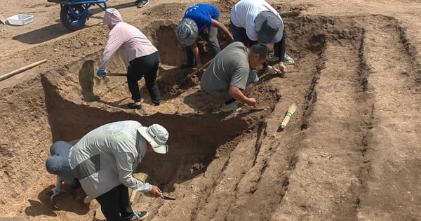 5,000년 된 극히 희귀한 옥용이 고대 중국 무덤에서 발견되었습니다.