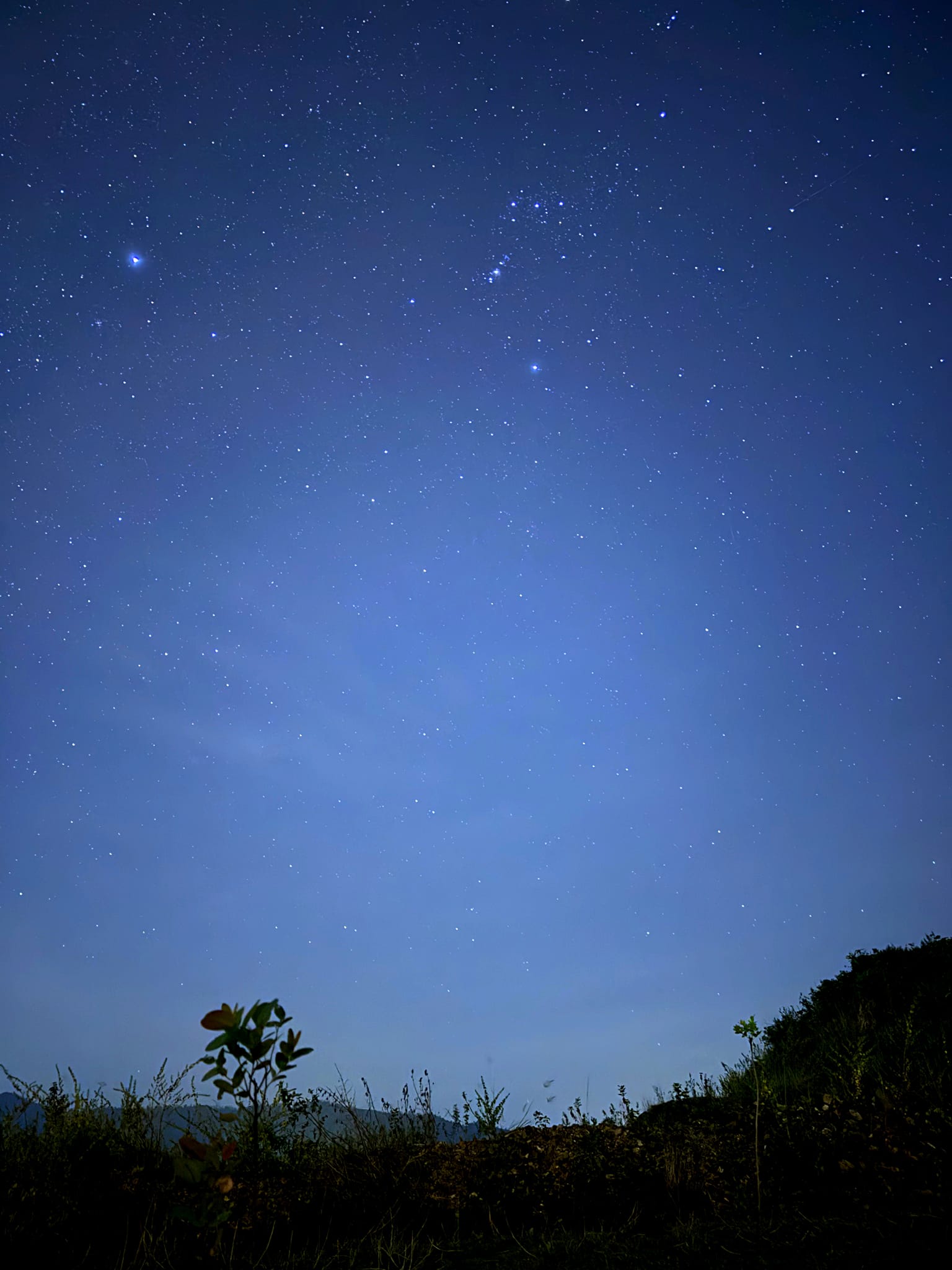 반면, 빈민 채석장은 자유롭고 깨끗하며, 조용하고 자유로운 공간을 즐기고 새로운 독특한 장소를 탐험하고자 하는 사람들에게 적합할 것입니다. 사진: NVCC