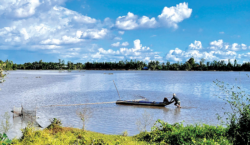 Nước tràn đồng vùng đầu nguồn miền Tây, liệu cá lóc có về nhiều để làm mắm gửi cho con không - Ảnh 1.