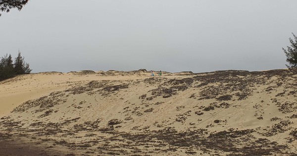 Suspension des VTT dans les dunes de sable de Quang Binh : des milliards de dongs « mis de côté »