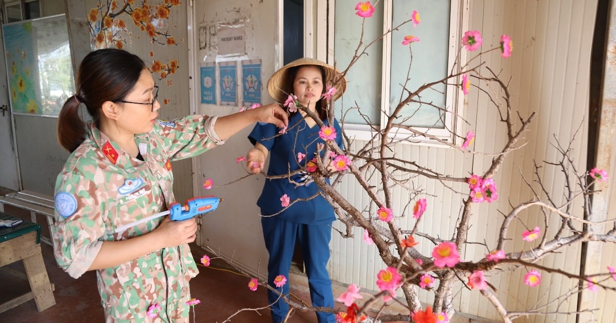 グリーンベレーの兵士たちがアフリカの森の木の枝にアプリコットと桃の花を飾る