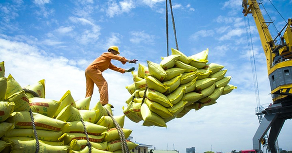 Quy định mới về kinh doanh xuất khẩu gạo