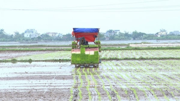 Xuất khẩu sang châu Âu: Doanh nghiệp phải tập trung toàn lực làm báo cáo phát thải