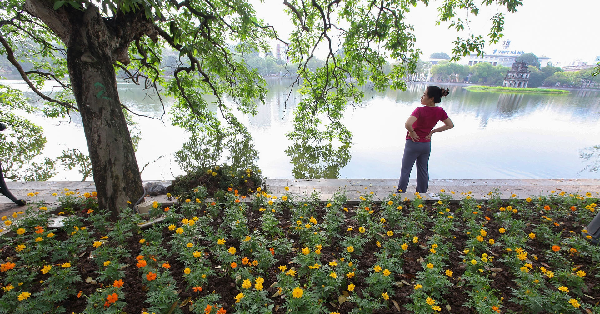 Weather forecast for the next 10 days: Sunny in the North, heavy rain in the Central region