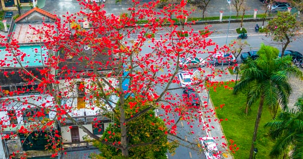 Hue's land and sky are brilliantly beautiful in the season of cotton flowers.