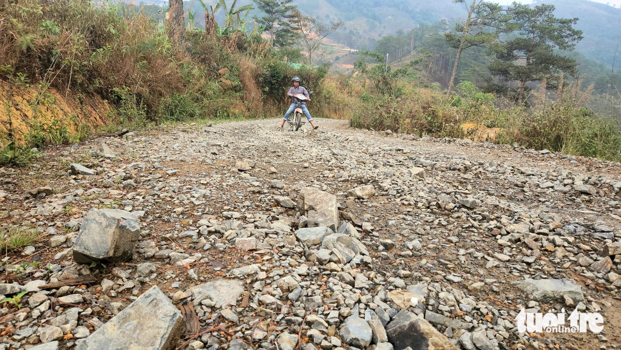 Con đường băng rừng dài 4km người dân đang đi vì đường qua hầm thủy điện bị rào - Ảnh: M.V.