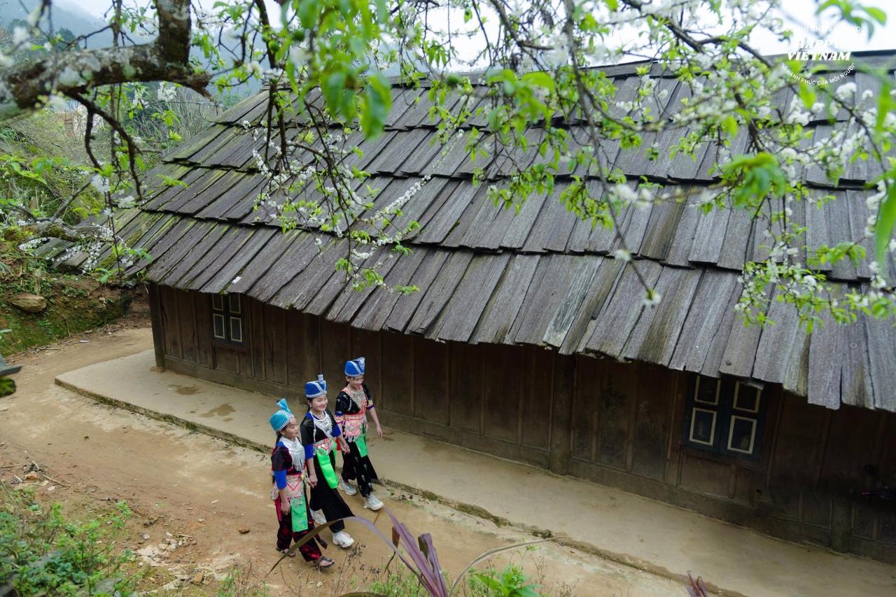 La belleza única de las antiguas casas con techo de madera al pie de la montaña Puxailaileng