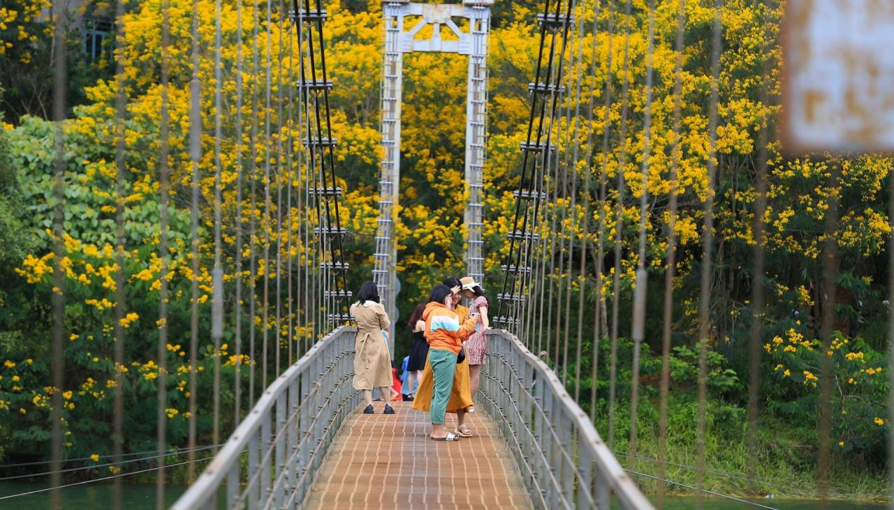 The bridge is only for rudimentary vehicles and pedestrians. Photo: Le Phuoc