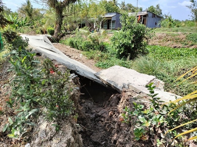 Hundreds of landslides and subsidence locations due to drought in Ca Mau photo 3