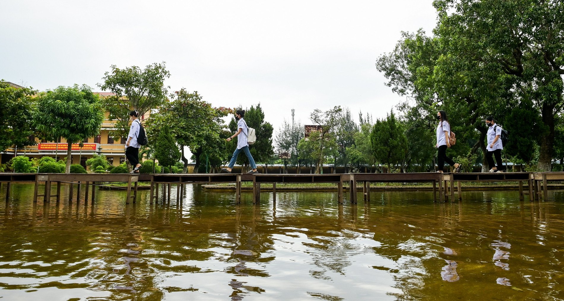 ナムディン省の学校が浸水、教師と生徒が授業に行けるように「橋」を建設