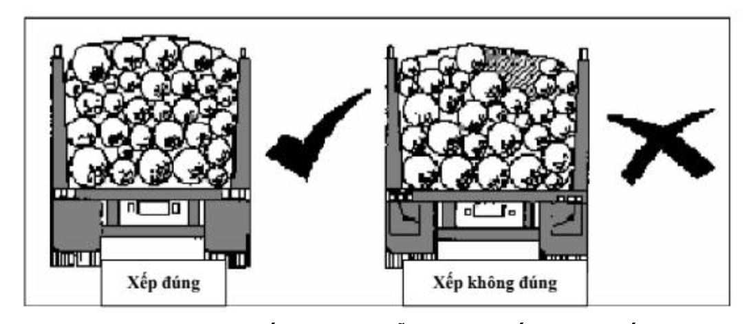 Xếp cây gỗ tròn trên xe thế nào để đảm bảo an toàn giao thông?- Ảnh 4.