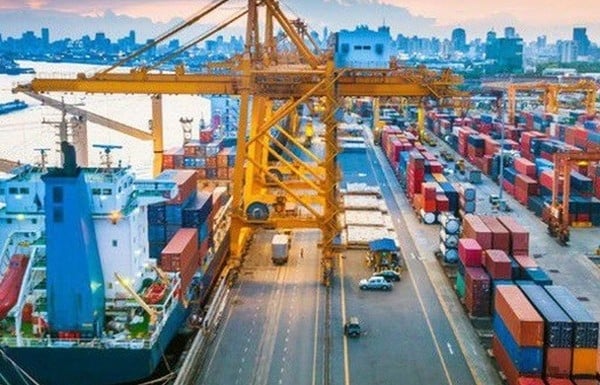 The Government promulgates Vietnam's special preferential import tariff schedule to implement the VIFTA Agreement.