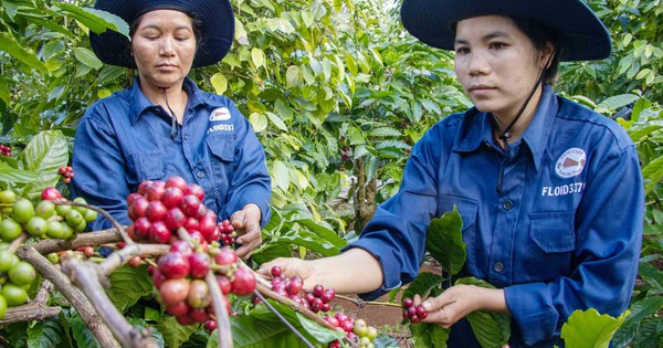 Nhiều ngành bứt tốc ngay từ đầu năm